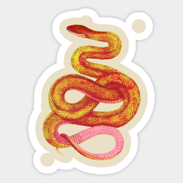 serpent,cobra,reptile,viper,venom,lizard,rattlesnake,king cobra,dragon,hydra,poison,venomous,plumber's snake,pythonidae,pythons,auger,python,squamata,serpentine,worm,big,ophidian,rattlesnakes,medusa,snakebite Sticker by vabontchi